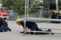 IMG_9862 (Large)